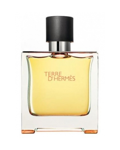 Confronta prezzi Hermes Terre D Hermes Parfum 125Ml Refill Without Spray For Man